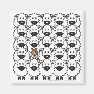 Íman Shetland Sheepdog no Ovino