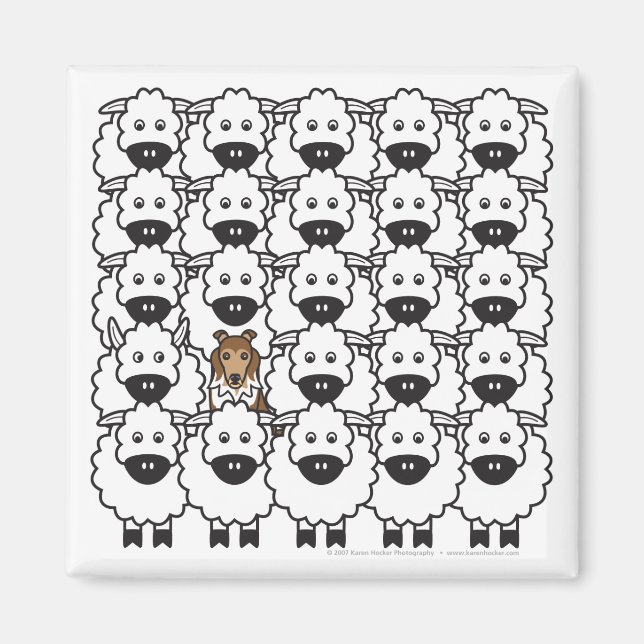 Íman Shetland Sheepdog no Ovino (Frente)