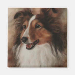 Íman Shetland Sheepdog Sheltie sorrindo