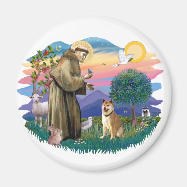 Íman Shiba Inu (Frente)