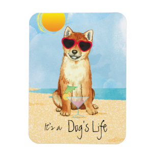 Íman Shiba Inu