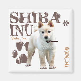 Íman Shiba Inu