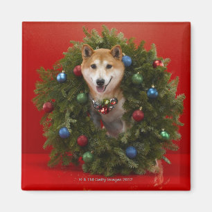 Íman Shiba Inu cão sentado na coroa de Natal