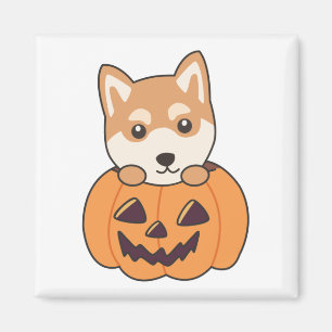 Íman Shiba Inu Em Pumpkin Doces Cães Felizes Mães De Ha
