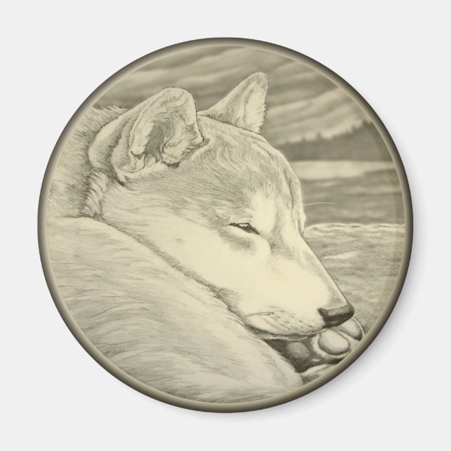 Íman Shiba Inu Imã de geladeira Shiba Inu Dog Magnet Gi (Frente)