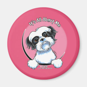 Íman Shih preto/branco Tzu IAAM