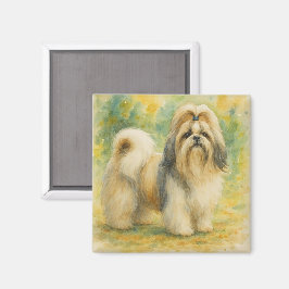 Íman Shih Tzu