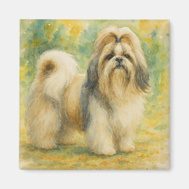 Íman Shih Tzu