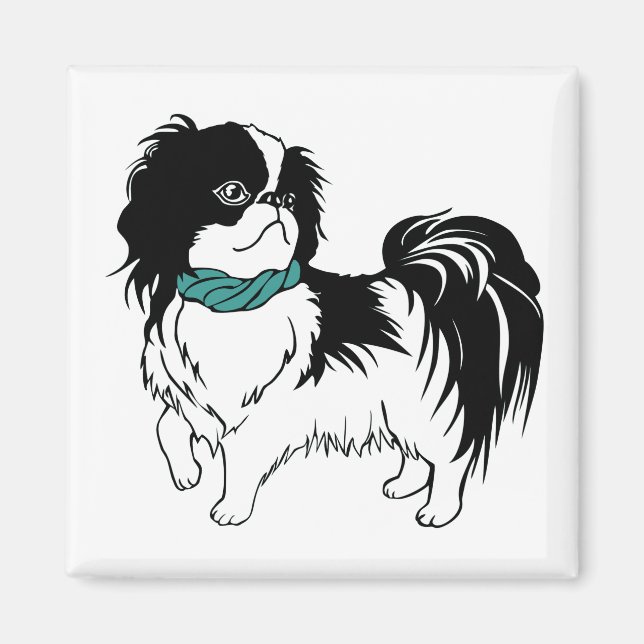 Íman Shih Tzu (Frente)