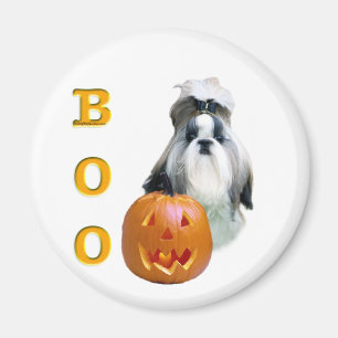 Íman Shih Tzu Boo