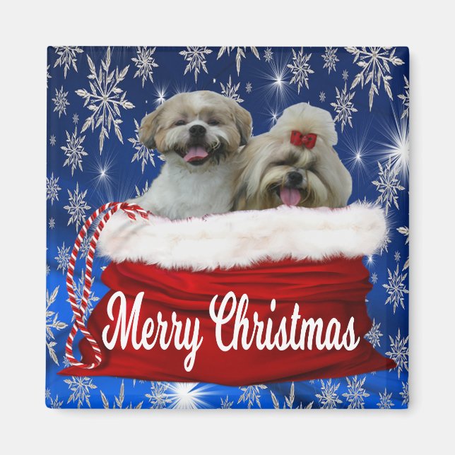 Íman Shih tzu Christmas Magnet (Frente)