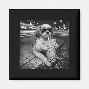 Íman Shih tzu engraçado bebendo café gelado amantes de