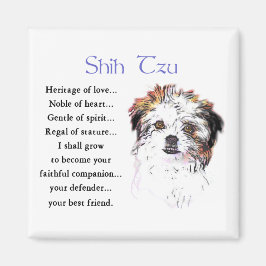 Íman Shih Tzu Lovers
