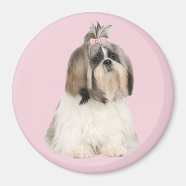 Íman Shih Tzu Magnet (Frente)