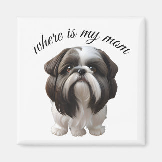 Íman Shih Tzu - Onde Está Minha Mãe?