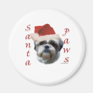 Íman Shih Tzu Papais noeis Paws
