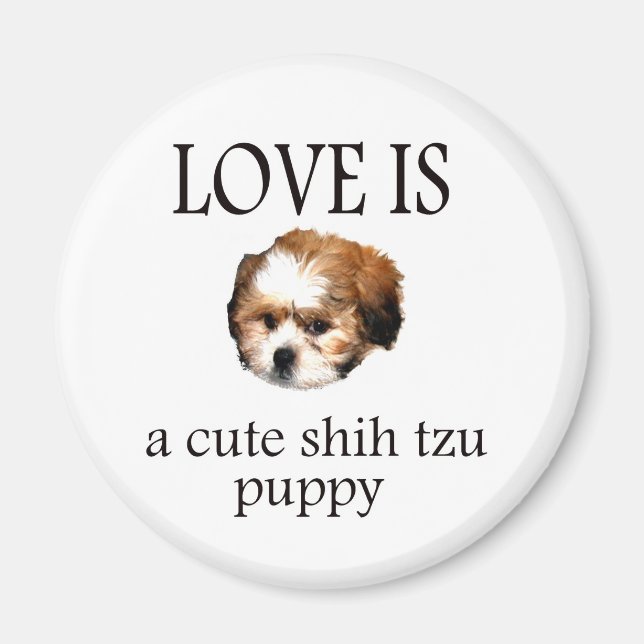 Íman Shih Tzu Puppy (Frente)