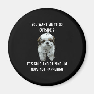 Íman Shih Tzu   Shih Tzu Você Quer Que Eu Saia