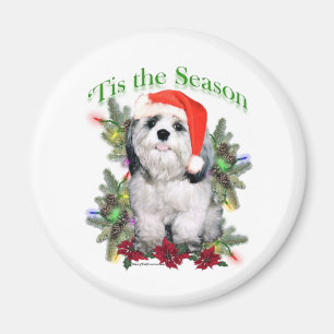 Íman Shih Tzu 'Tis the Season - Magnet