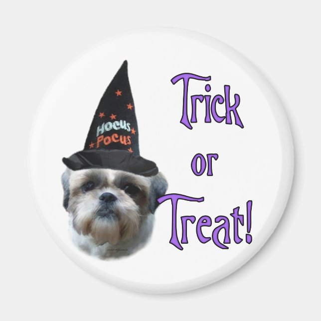 Íman Shih Tzu Trick (Frente)