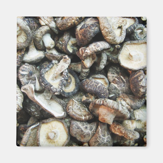 Íman Shiitake Mushroom (Frente)