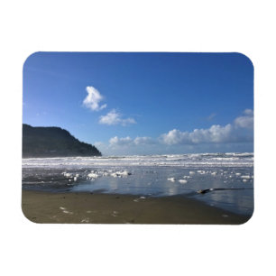 Íman Shore marinha no inverno, Costa do Oregon