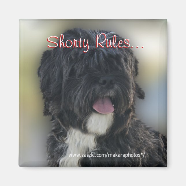Íman Shorty Lhasa Apso-Shih Tzu Magnet-personalize (Frente)