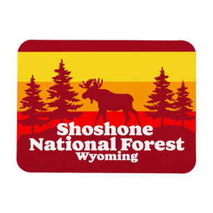 Íman Shoshone National Forest Wyoming