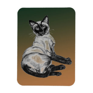 Íman Siamese Cat