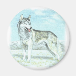 Íman Siberian Husky