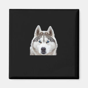 Íman Siberian Husky Prova Desse Tamanho S Sticker