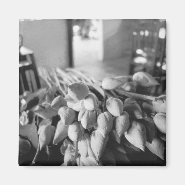 Íman Siem Reap Camboja, Flores de Lótus (Frente)