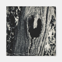 "Siga seu coração"