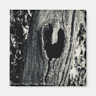 Íman "Siga seu coração"