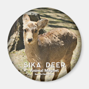Íman Sika Deer マ グ ネ ト