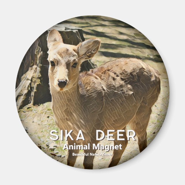 Íman Sika Deer マ グ ネ ト (Frente)