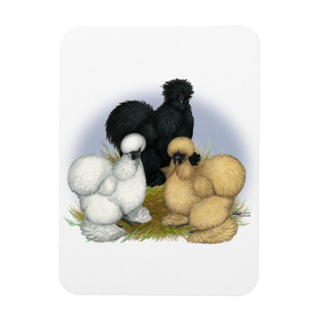 Íman Silkie Trio (Vertical)