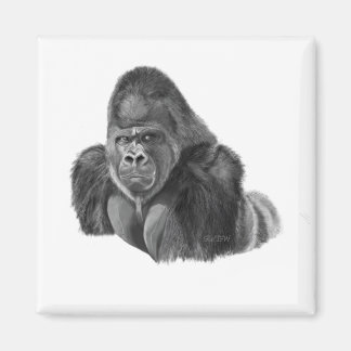Íman Silverback Gorilla Magnet ゴリラのマグネット