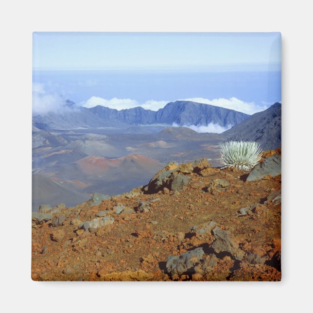 Íman Silversword no cume da cratera Haleakala a partir  (Frente)