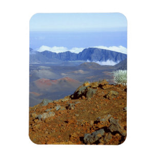 Íman Silversword no cume da cratera Haleakala a partir