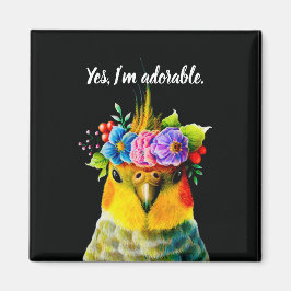 Íman Sim, sou adorável.