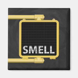 Íman Símbolo Crosswalk de Nova York Cheira