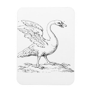 Íman Símbolo de Cisne de Amor e Fidelidade Arte Refinad