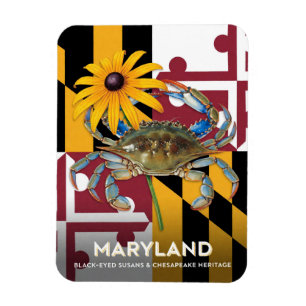 Íman Símbolos de Maryland Black Eyed Susan e Caranguejo