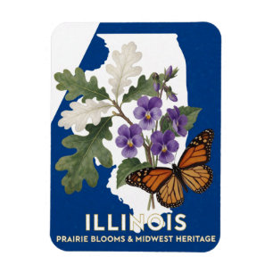 Íman Símbolos de Violeta e Borboleta Monarca de Illinoi