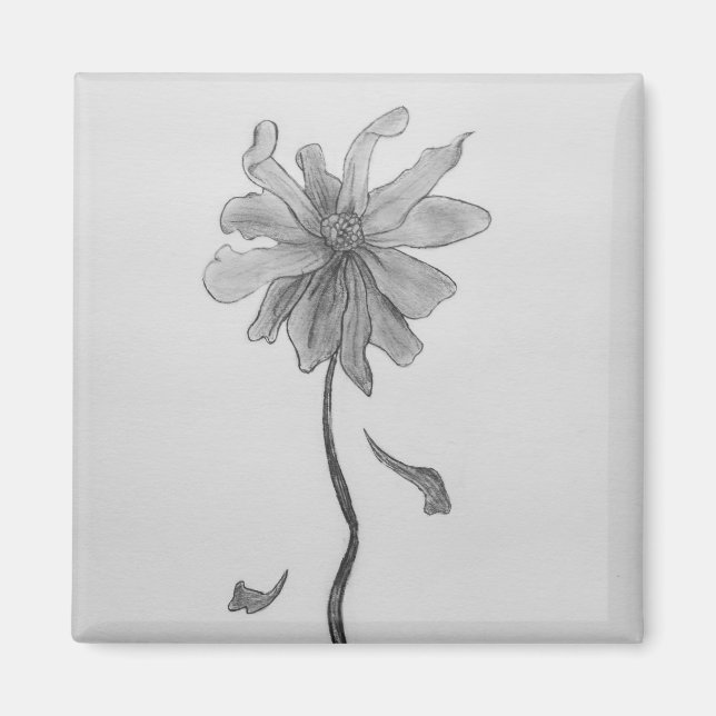 Íman Simple Daisy (Frente)