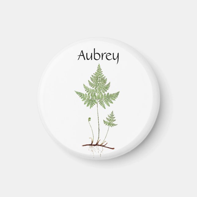 Íman Simples Fern, (Frente)