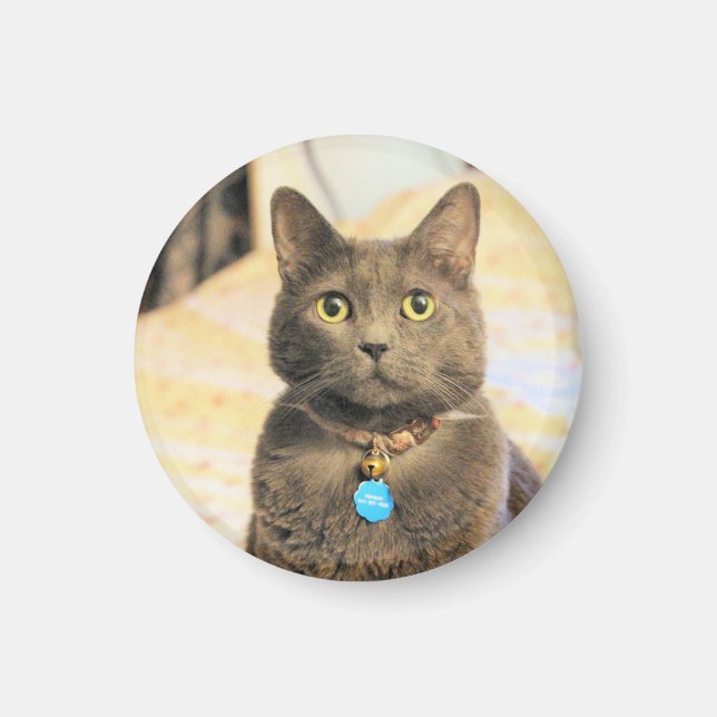 Íman Sinais (Frente)