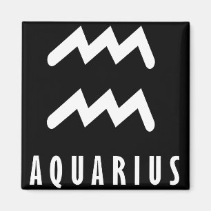 Íman sinal de Aquarius Zodiac