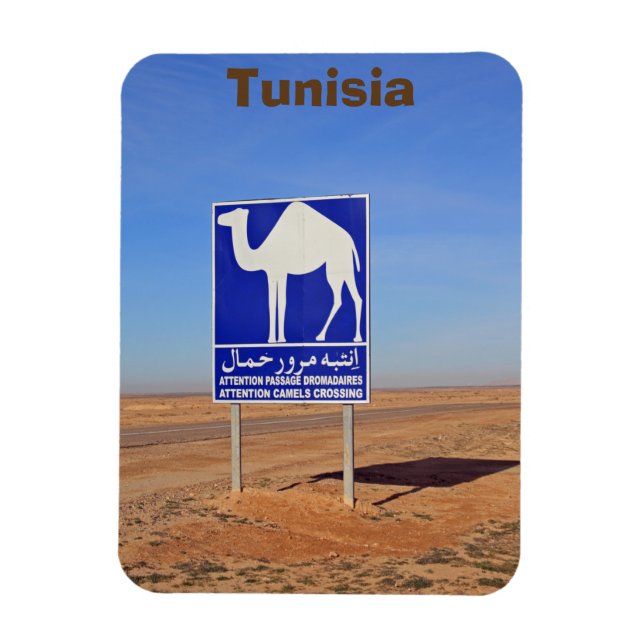 Íman Sinal de Camels, Tunísia (Vertical)
